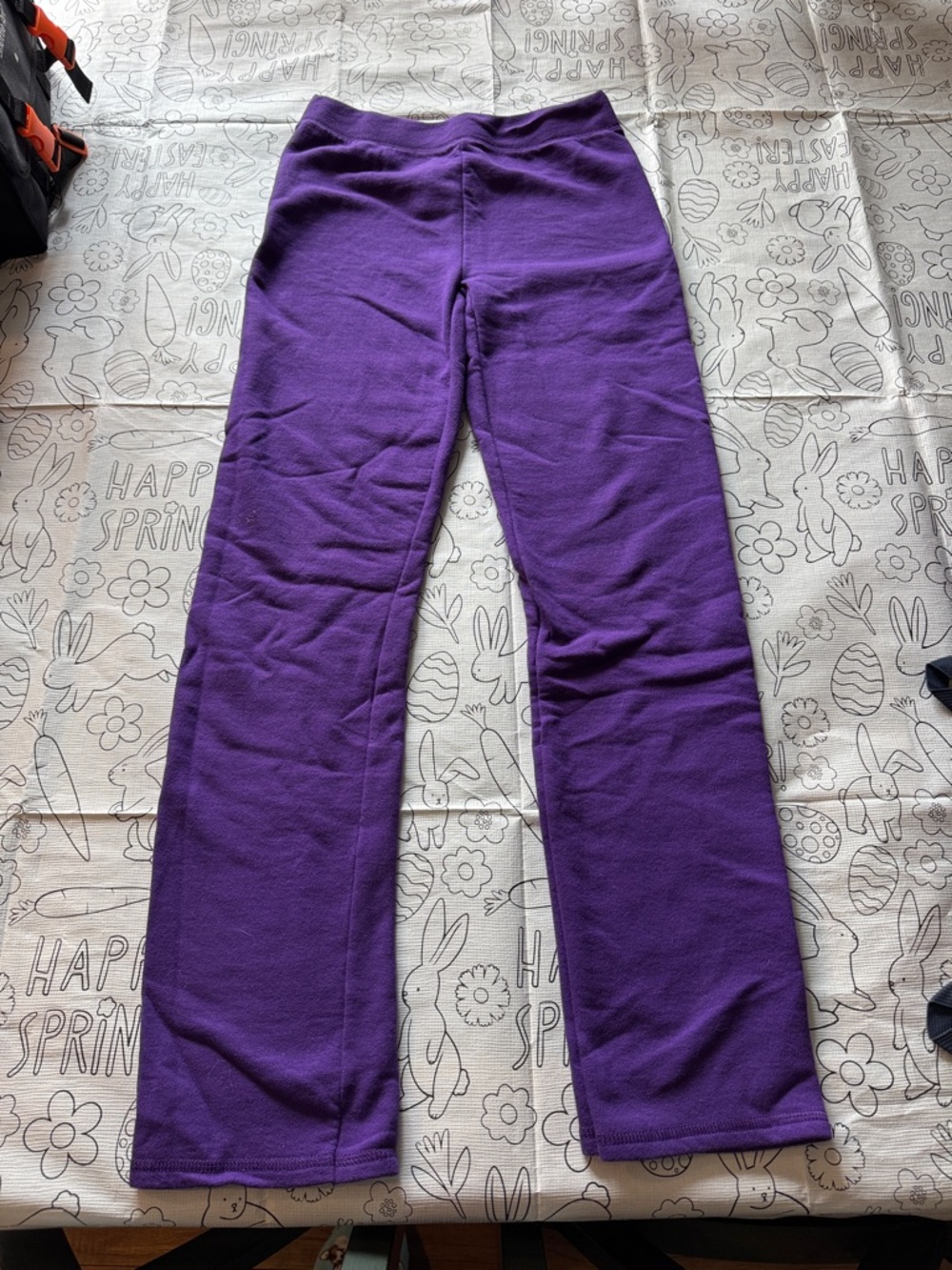 Hanes Kids Purple Fleece Joggers - Pull-On Comfort